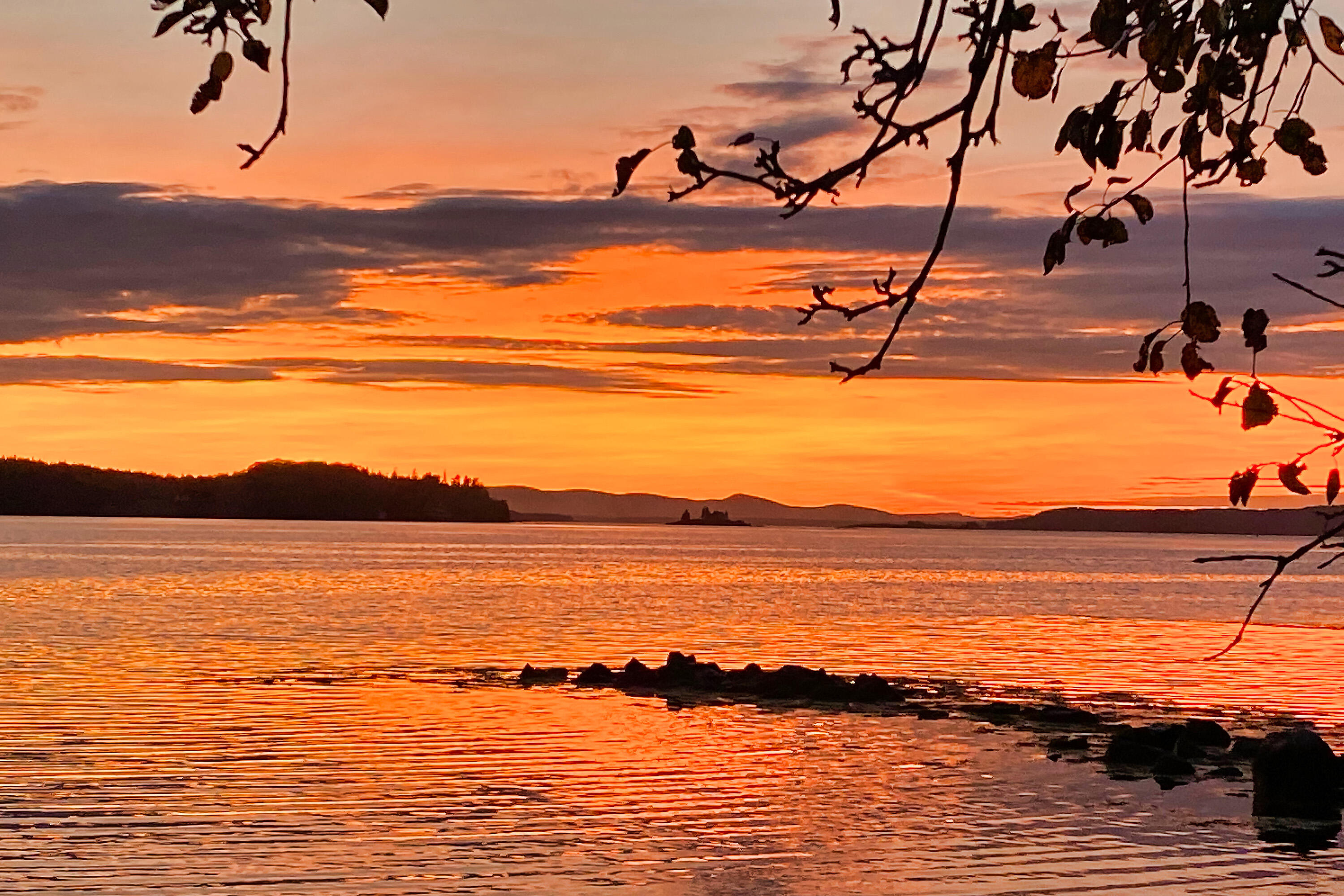 435 Herrick Road Brooksville, ME 04617 - Photo 30 of 50 435HerrickRoad_029