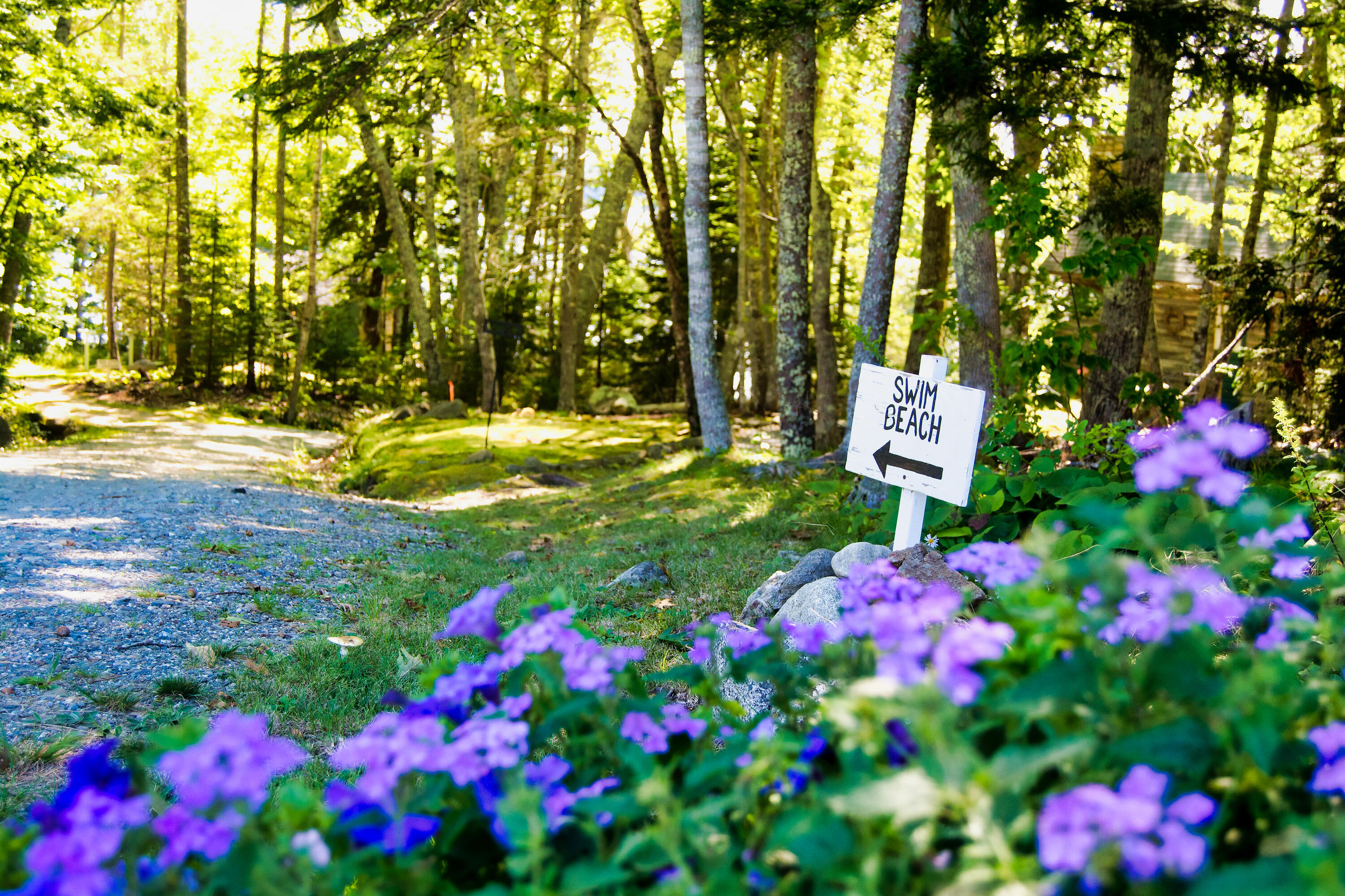435 Herrick Road Brooksville, ME 04617 - Photo 7 of 50 435HerrickRoad_006
