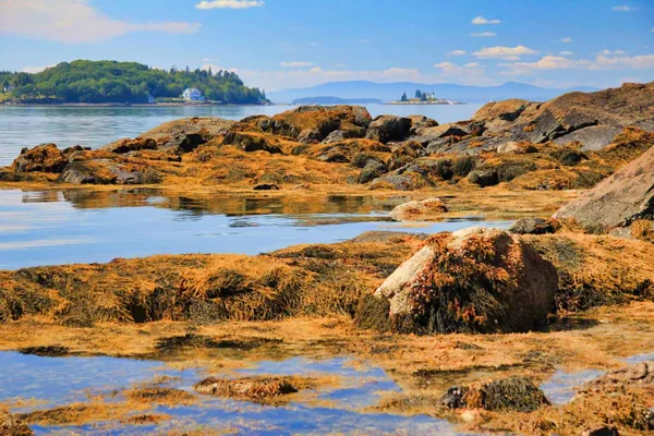 $5,995,000 | 435 Herrick Road, Brooksville, ME 04617