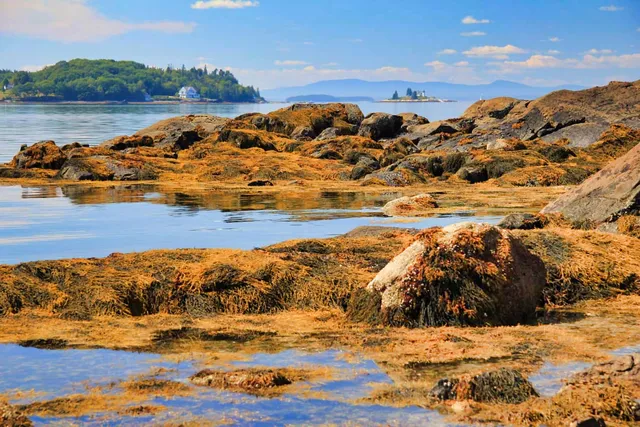 $5,995,000 | 435 Herrick Road, Brooksville, ME 04617