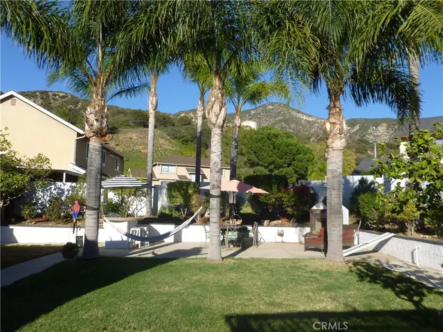 a view of a park with palm trees