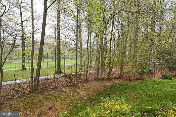 2010 Winged Foot Court Reston, VA 20191 - Photo 25 of 30 Golf Course View