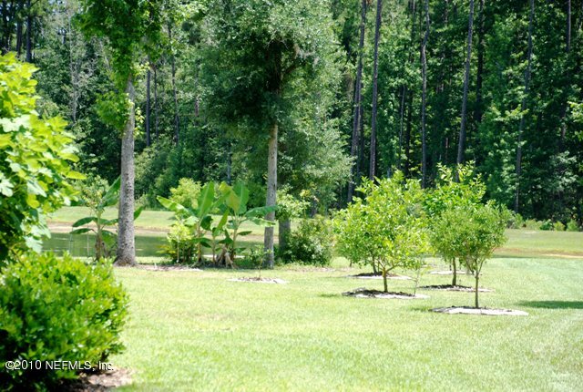 2571 Woodgrove Road Fleming Island, FL 32003 - Photo 23 of 36 Fruit trees on both side yards