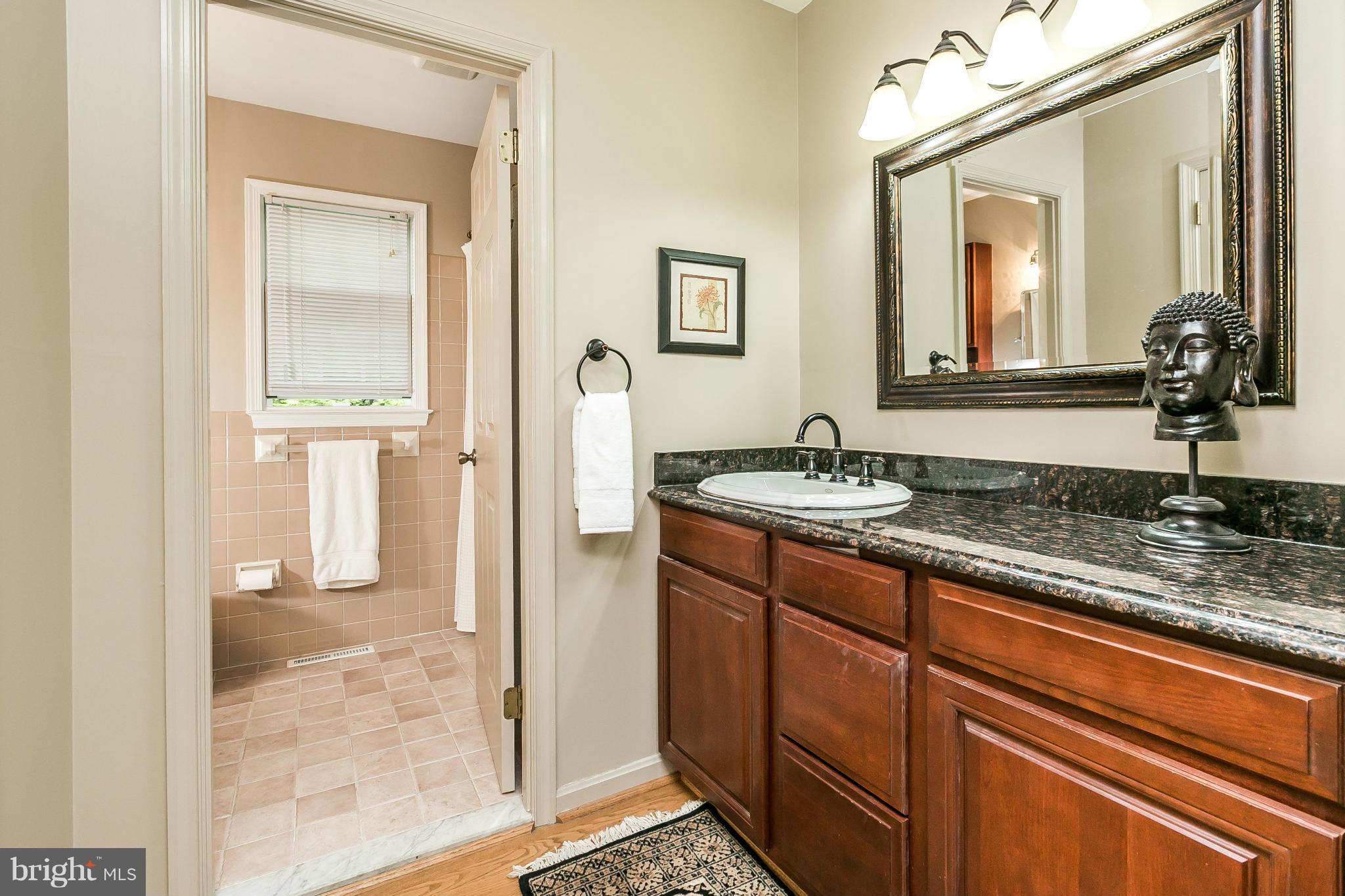 1215 Temfield Road Baltimore, MD 21286 - Photo 11 of 21 Bath (Master)