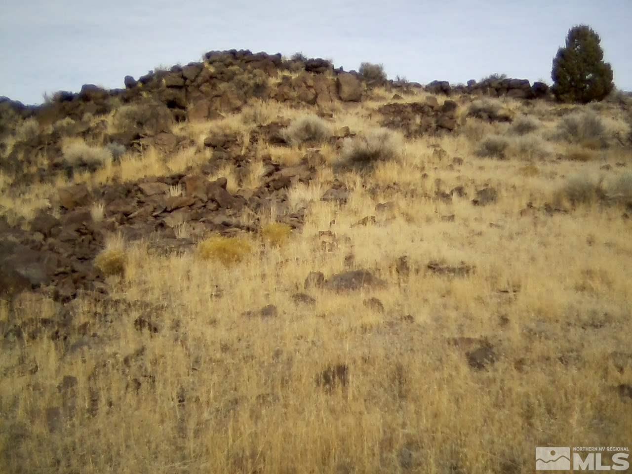 0 Goodher Road Reno, NV 89510 - Photo 13 of 13 a view of a dry yard