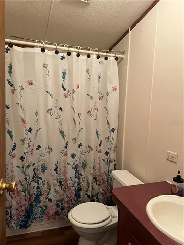 a bathroom with a sink a toilet and shower curtain