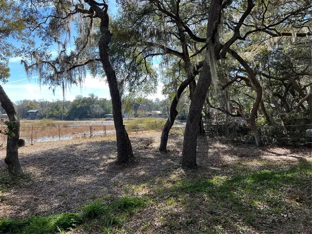 a view of outdoor space with lots of green space