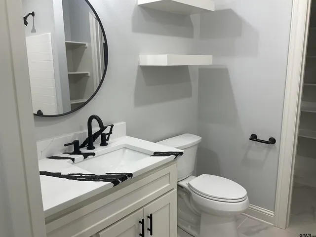 a bathroom with a sink a toilet and mirror