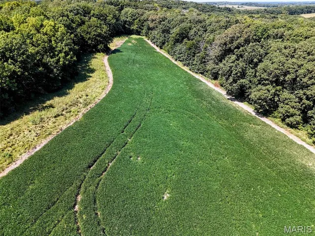 $608,000 | 249 County Road 249, Palmyra, MO 63461