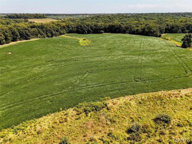 $608,000 | 249 County Road 249, Palmyra, MO 63461