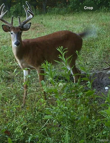 $608,000 | 249 County Road 249, Palmyra, MO 63461