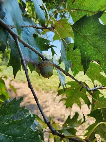 $608,000 | 249 County Road 249, Palmyra, MO 63461