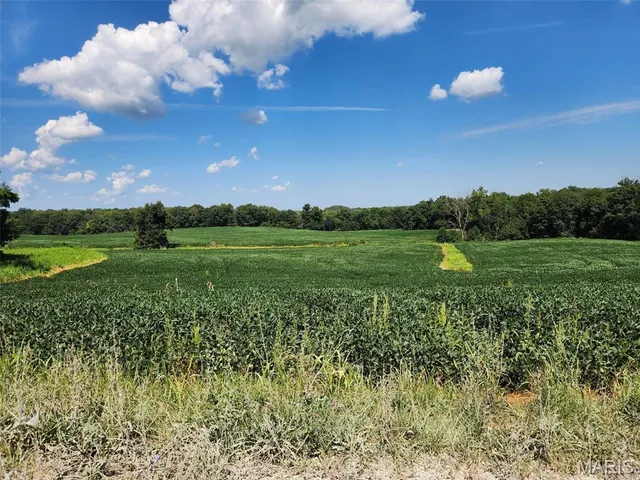$608,000 | 249 County Road 249, Palmyra, MO 63461