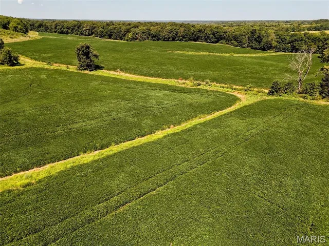 $608,000 | 249 County Road 249, Palmyra, MO 63461