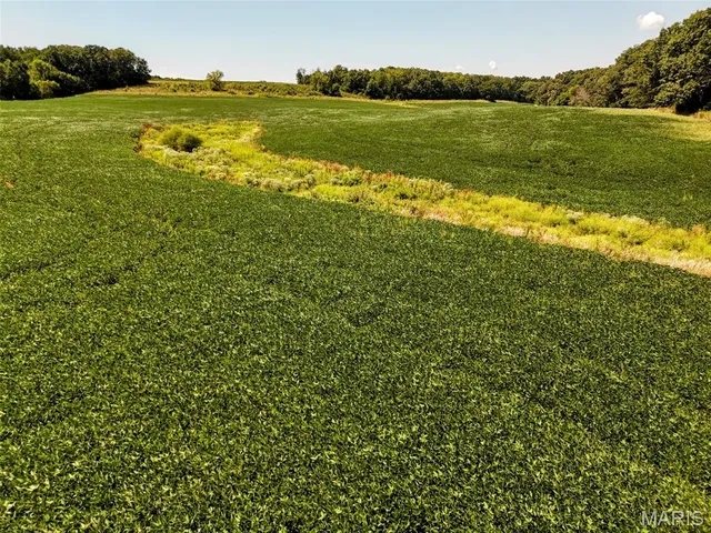 $608,000 | 249 County Road 249, Palmyra, MO 63461