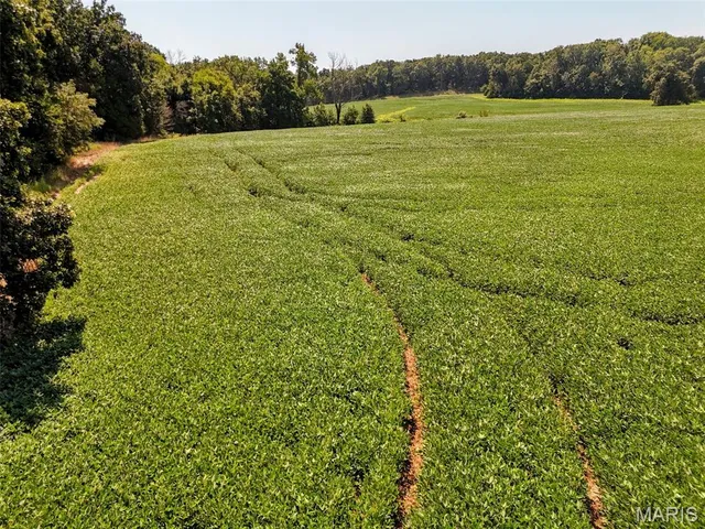 $608,000 | 249 County Road 249, Palmyra, MO 63461