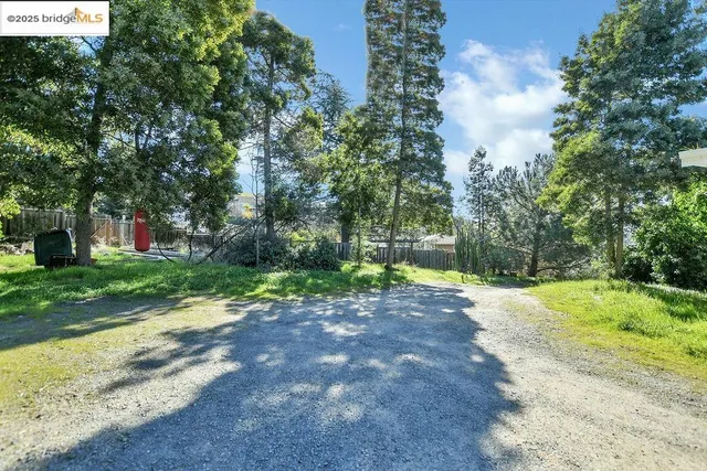 a view of a forest with trees