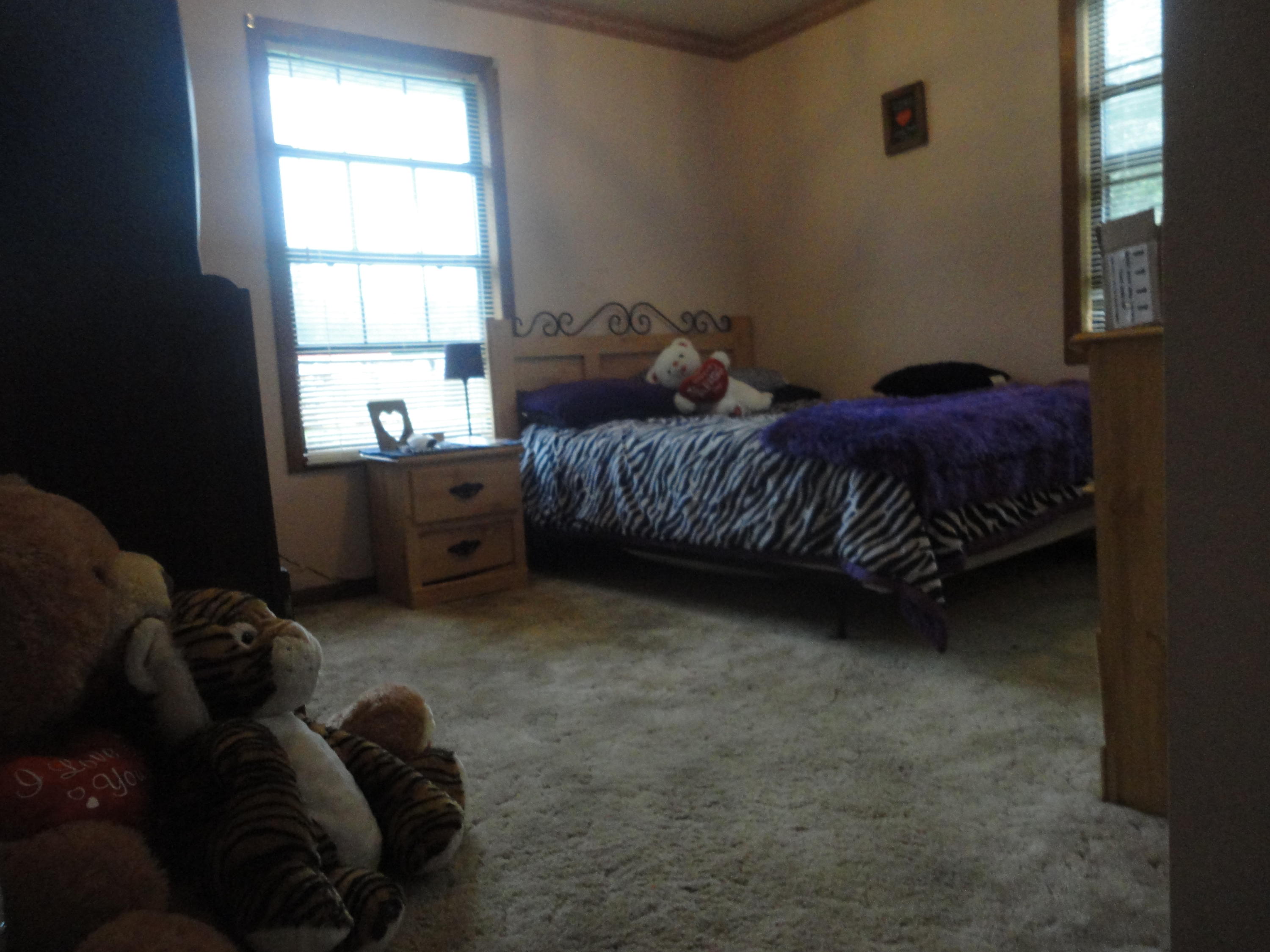 3767 Helenwood Detour Road Oneida, TN 37841 - Photo 15 of 34 DSC04504