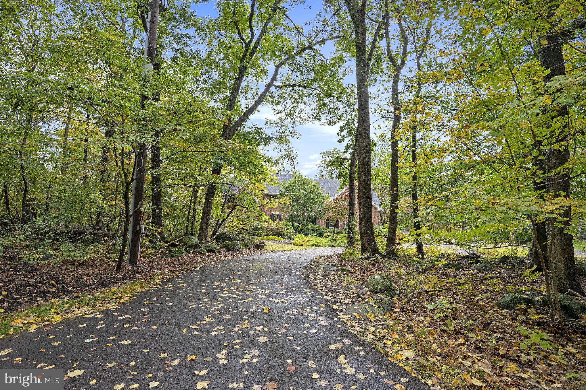 0 Tower Road Sellersville, PA 18960 - Photo 4 of 70 a big yard with lots of green space and trees
