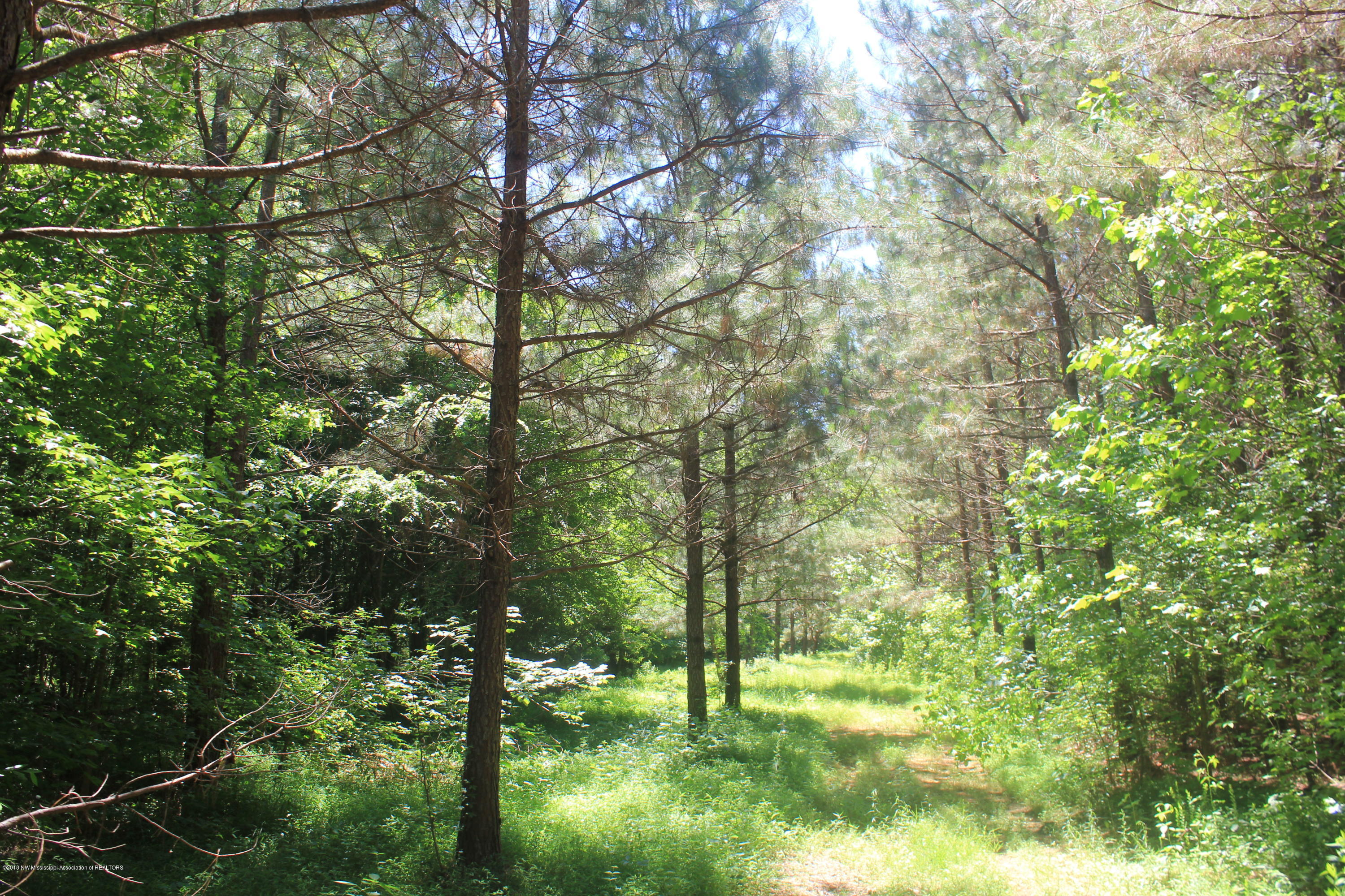 160 Moore Road Red Banks, MS 38661 - Photo 11 of 41 011
