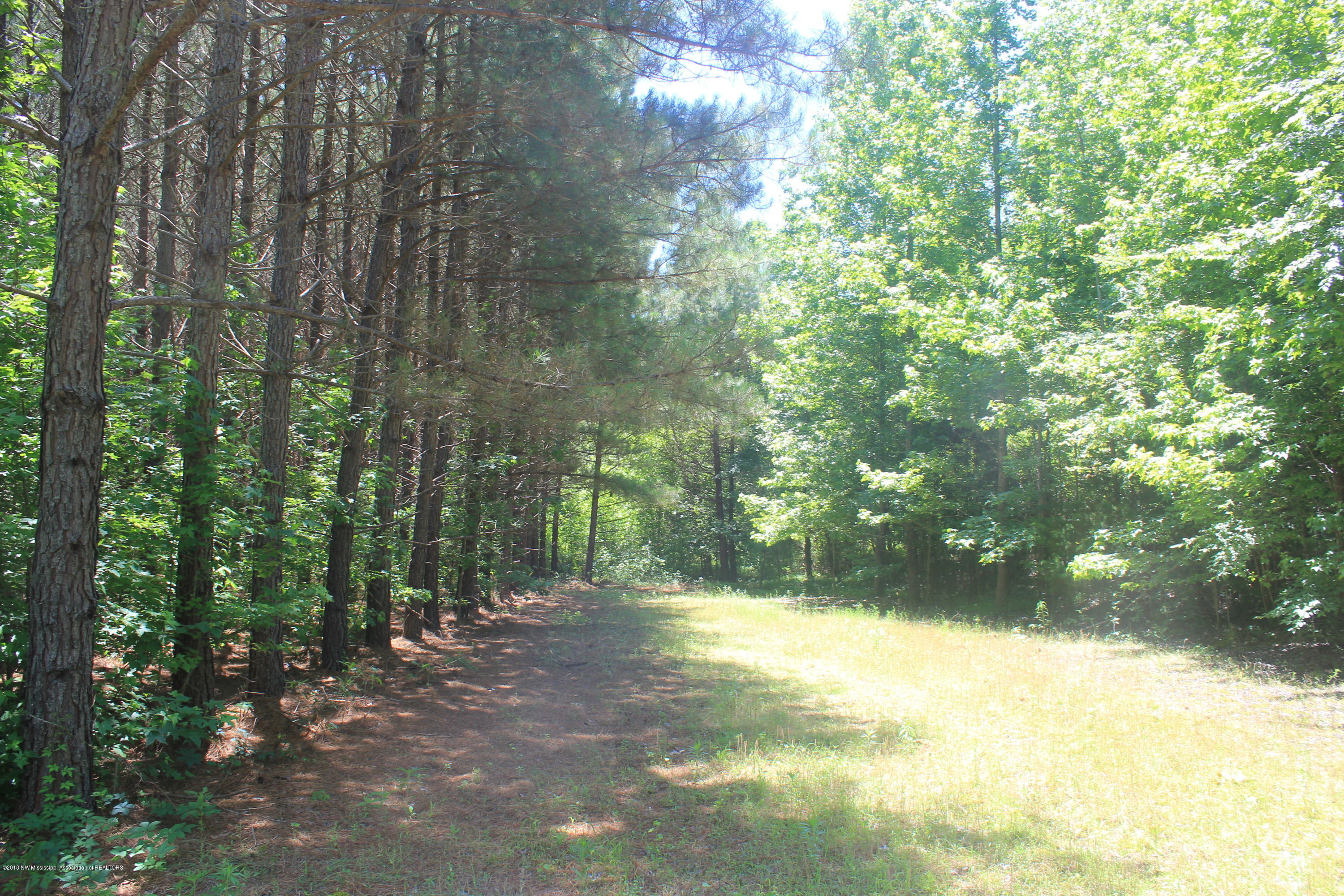 160 Moore Road Red Banks, MS 38661 - Photo 16 of 41 016