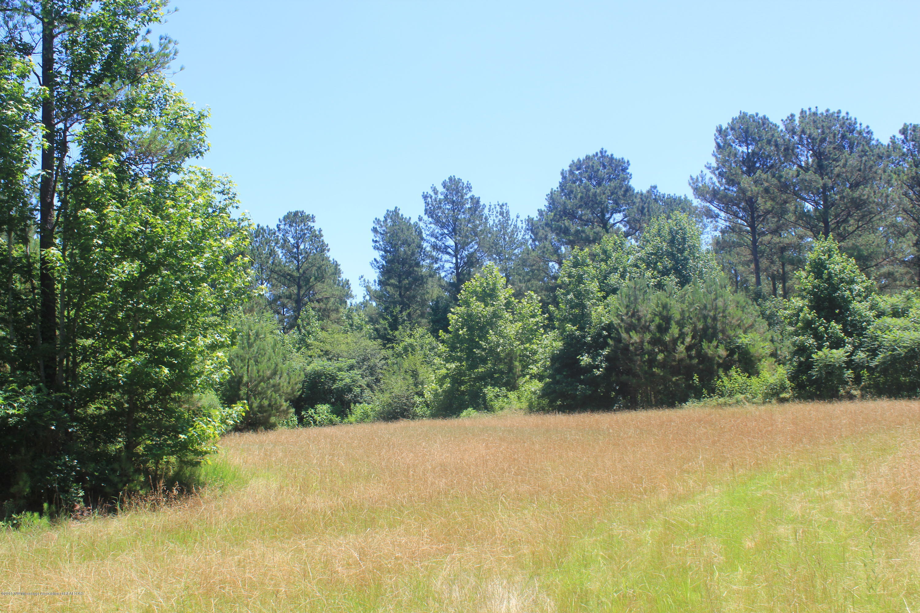 160 Moore Road Red Banks, MS 38661 - Photo 28 of 41 028