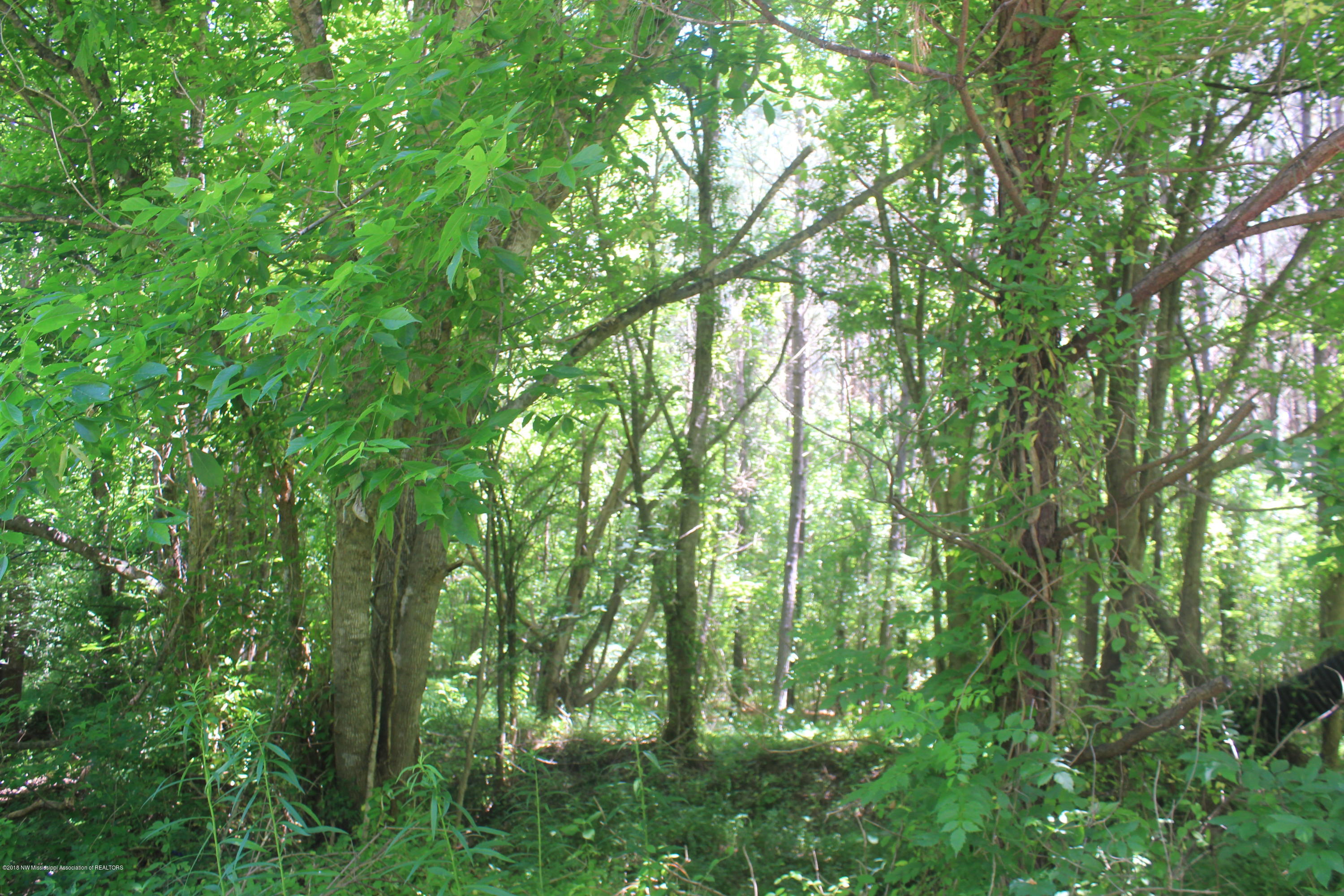 160 Moore Road Red Banks, MS 38661 - Photo 3 of 41 003