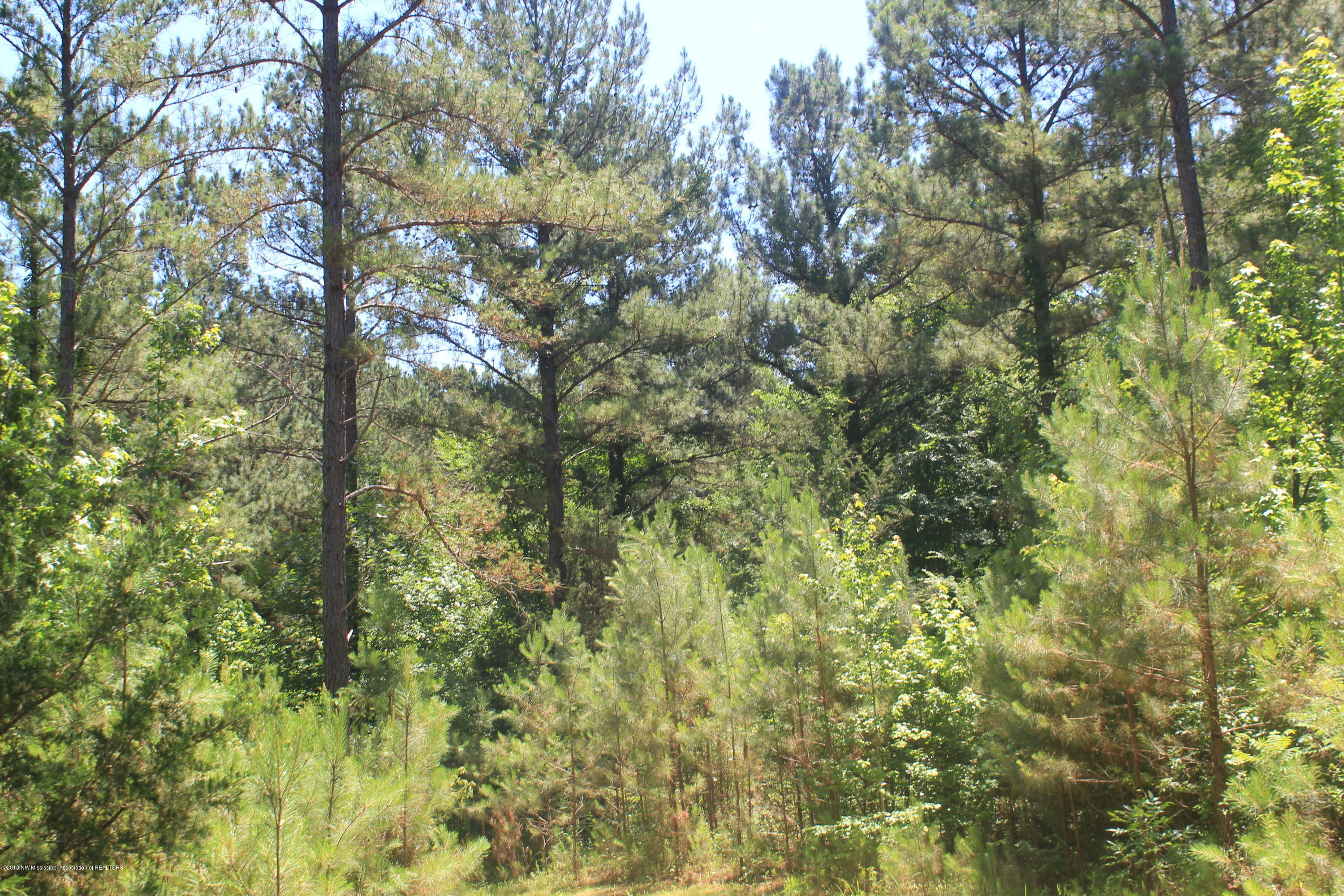 160 Moore Road Red Banks, MS 38661 - Photo 31 of 41 031