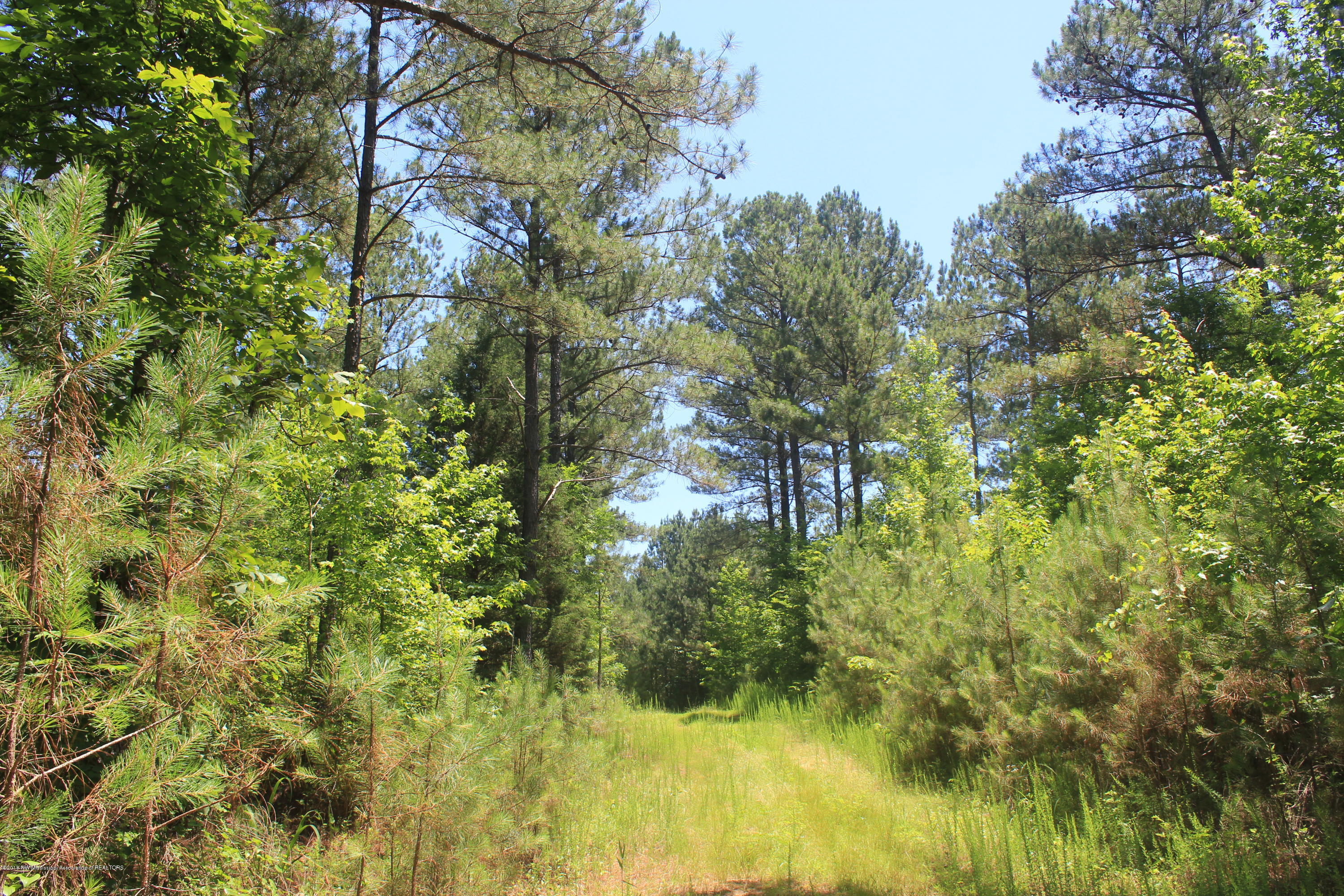 160 Moore Road Red Banks, MS 38661 - Photo 32 of 41 032