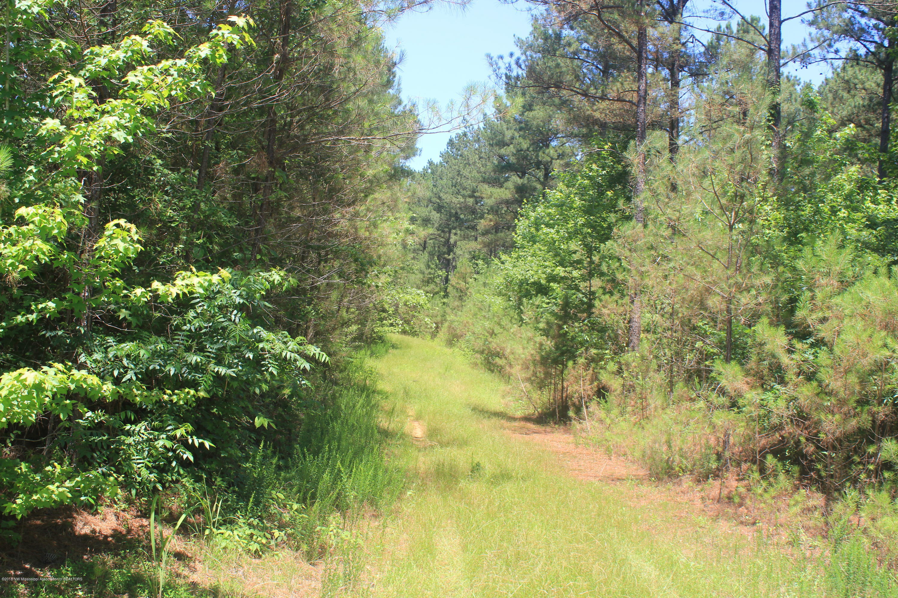 160 Moore Road Red Banks, MS 38661 - Photo 41 of 41 041
