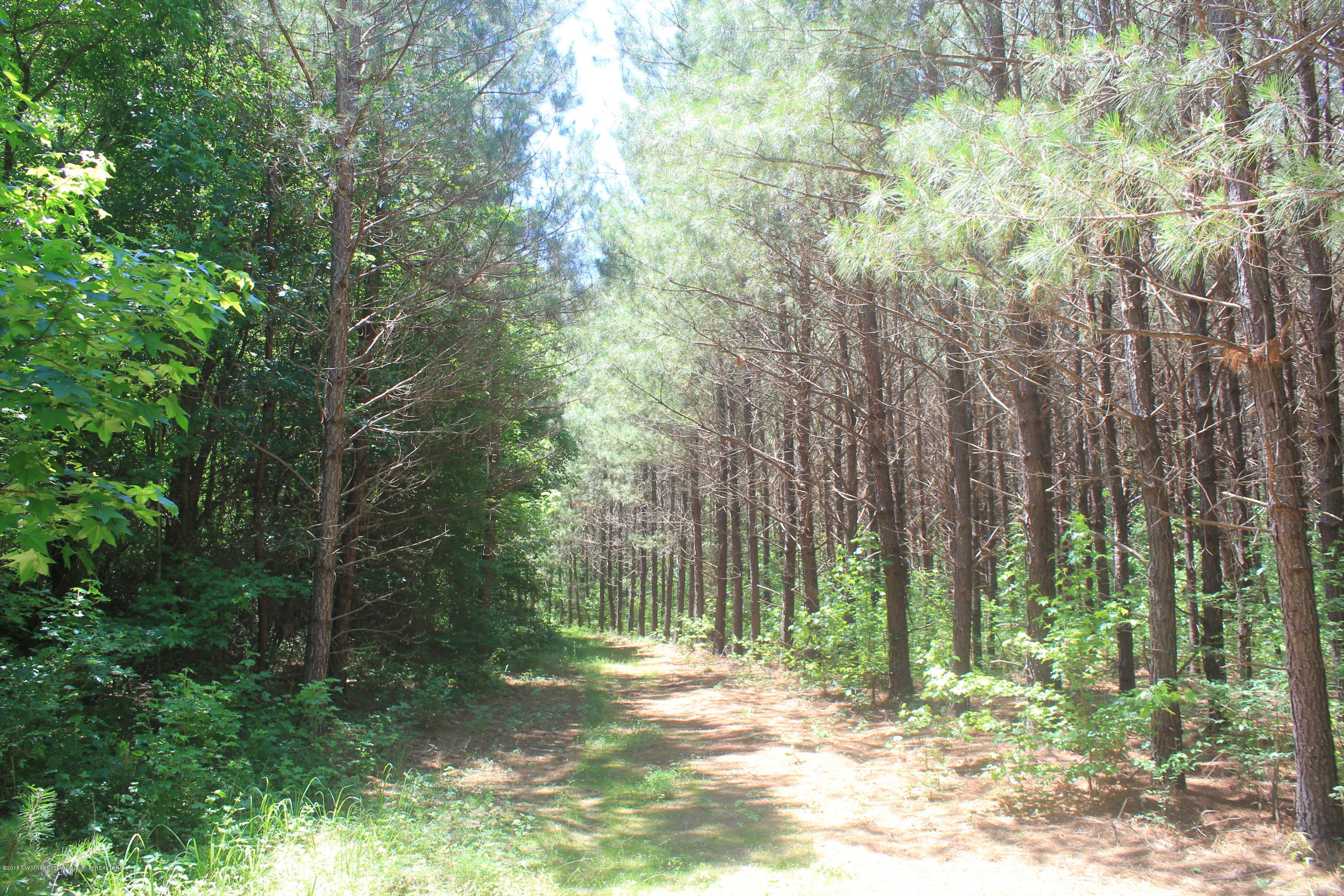 160 Moore Road Red Banks, MS 38661 - Photo 6 of 41 006