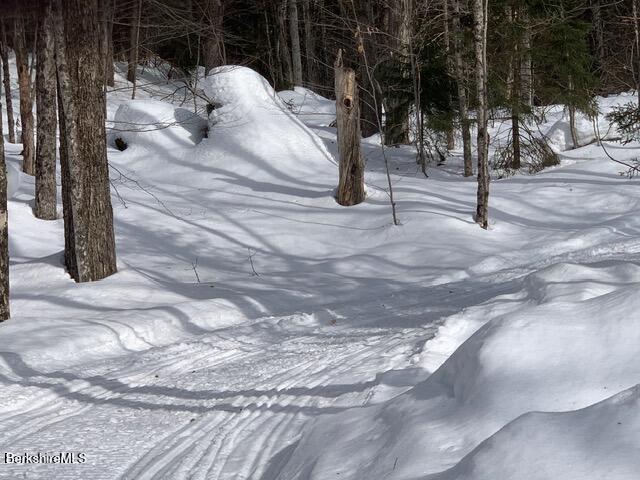 87 North Road Monroe, MA 01350 - Photo 1 of 4 Snow mobile trail