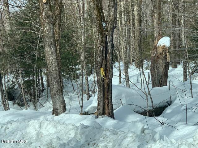87 North Road Monroe, MA 01350 - Photo 2 of 4 wooded lot