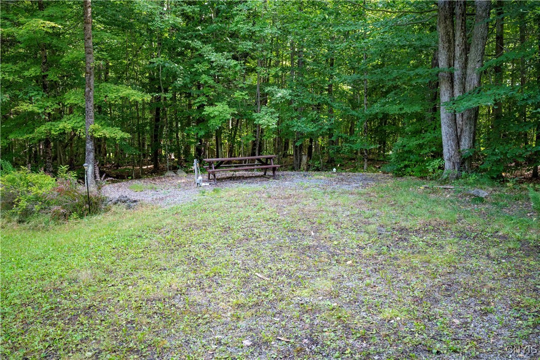 9769 Moose River Road Port Leyden, NY 13433 - Photo 12 of 43