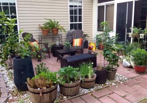 1308 Gilead Road Mount Pleasant, SC 29466 - Photo 27 of 32 Back Patio