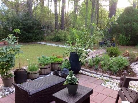 1308 Gilead Road Mount Pleasant, SC 29466 - Photo 28 of 32 Back Patio