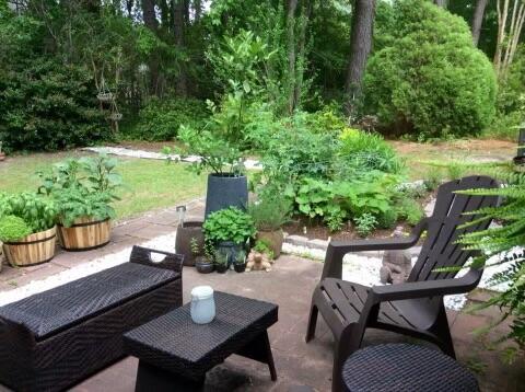 1308 Gilead Road Mount Pleasant, SC 29466 - Photo 29 of 32 Back Patio