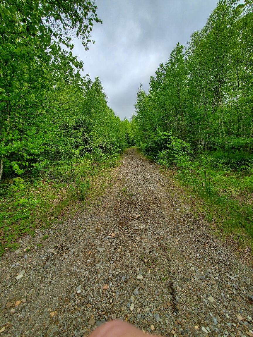 77 South Princeton Road Alexander, ME 04694 - Photo 6 of 31 looking into the driveway