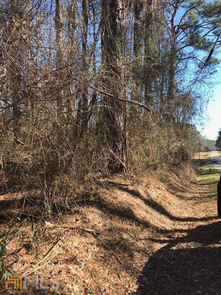 239 Grandma Branch Road Grantville, GA 30220 - Photo 1 of 1 Gallery Image 1