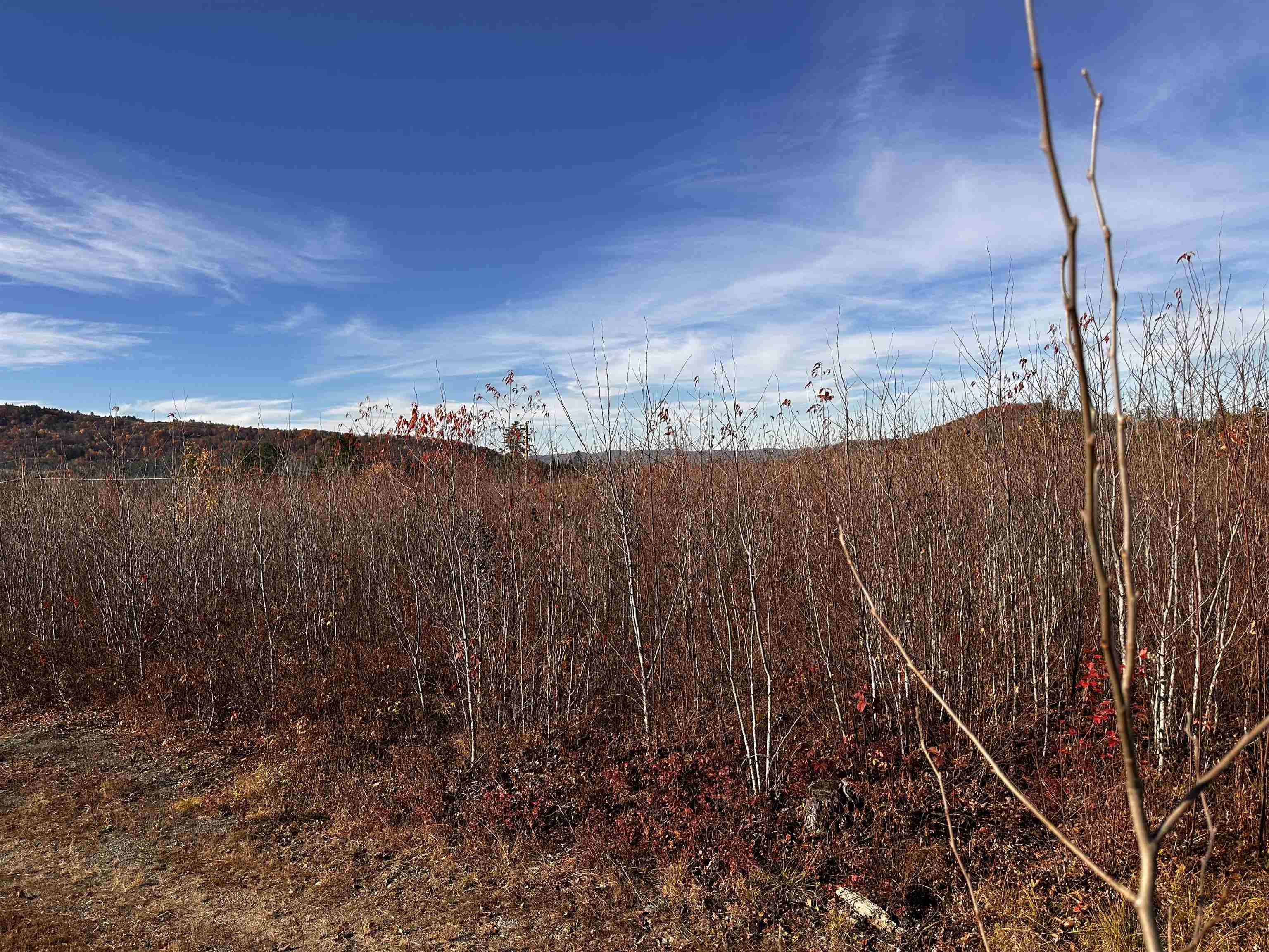 Tbd Mcintyre Road, Unit 7 Dalton, NH 03598 - Photo 16 of 19
