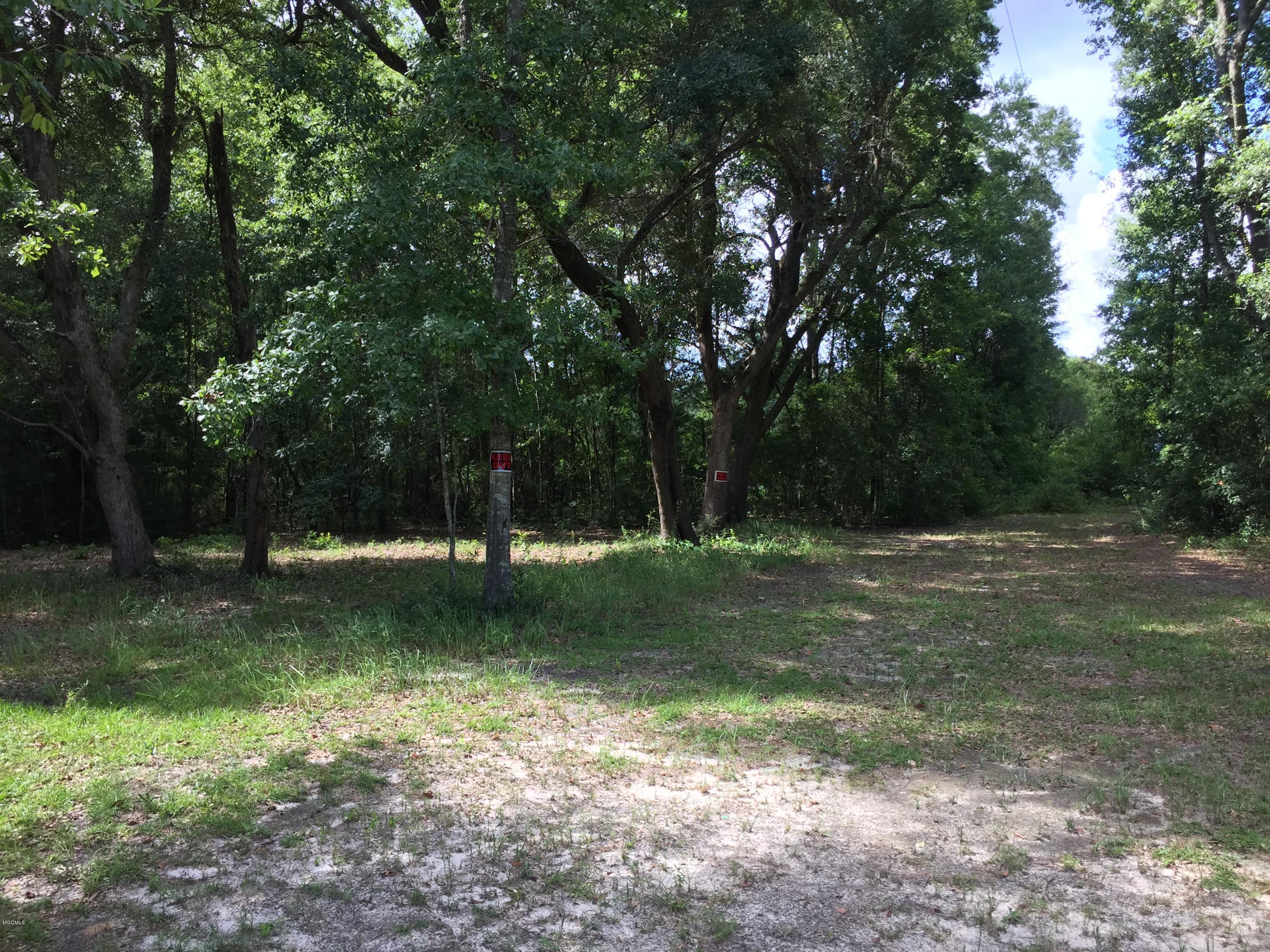 0 Brown Road Ocean Springs, MS 39564 - Photo 1 of 5 IMG_0302 - Copy