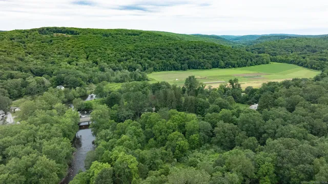 a view of a lush green field with lots of bushes