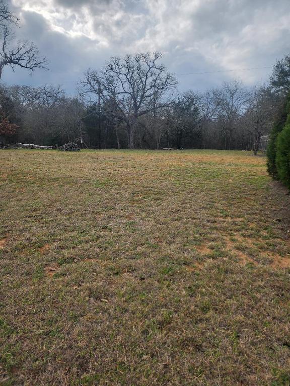 117 Allison Cove Elgin, TX 78621 - Photo 3 of 5 a view of a lake view