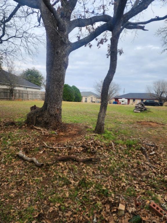 117 Allison Cove Elgin, TX 78621 - Photo 5 of 5 a view of a yard with a tree