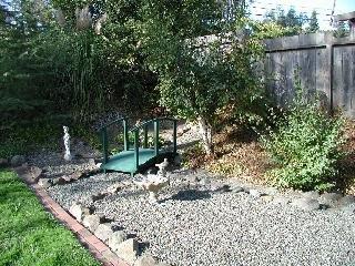 535 Los Alamos Road Santa Rosa, CA 95409 - Photo 6 of 8 a view of a backyard with plants and large trees