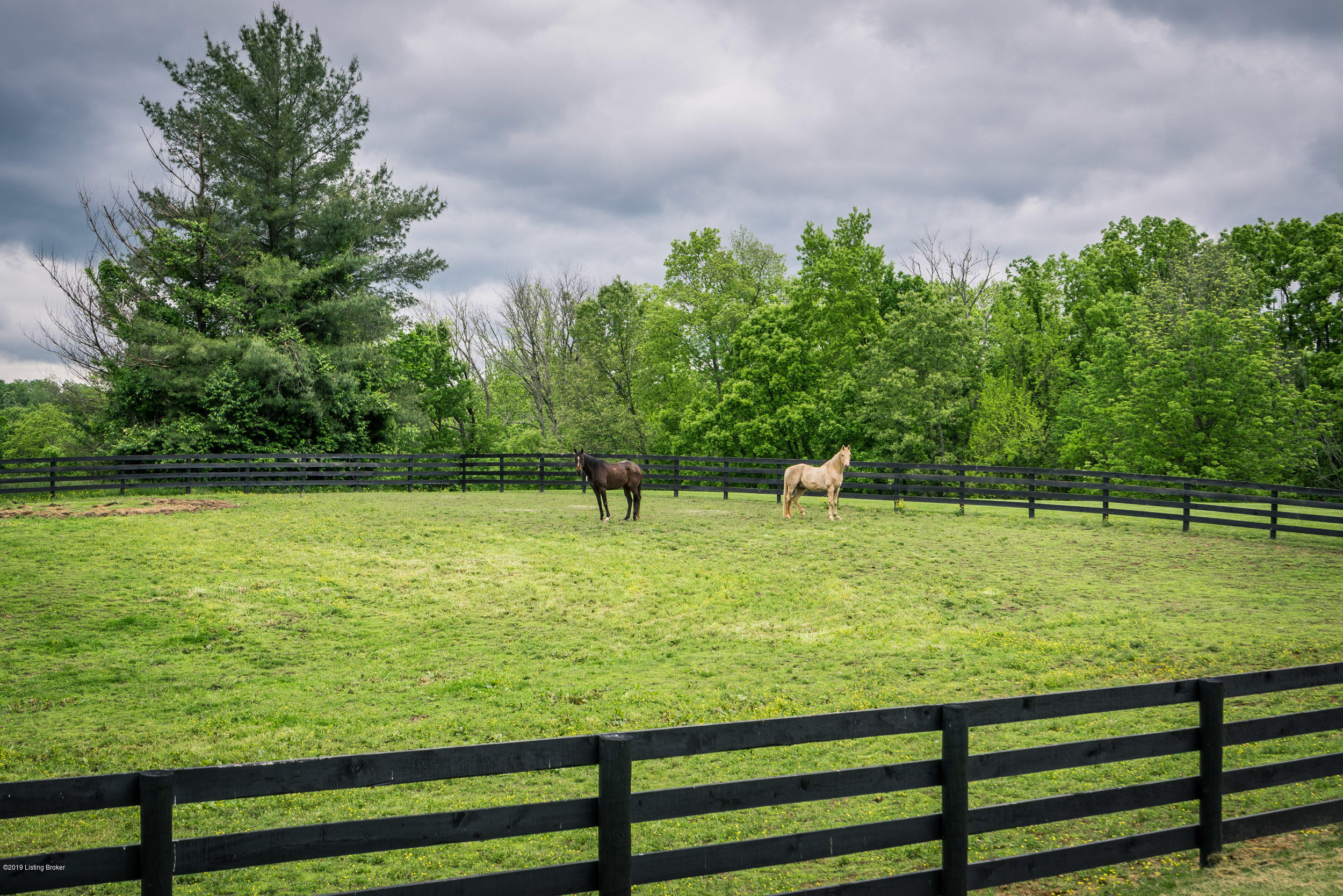 4010 Briar Ridge Road La Grange, KY 40031 - Photo 55 of 70 4010 Briar Ridge Rd-19