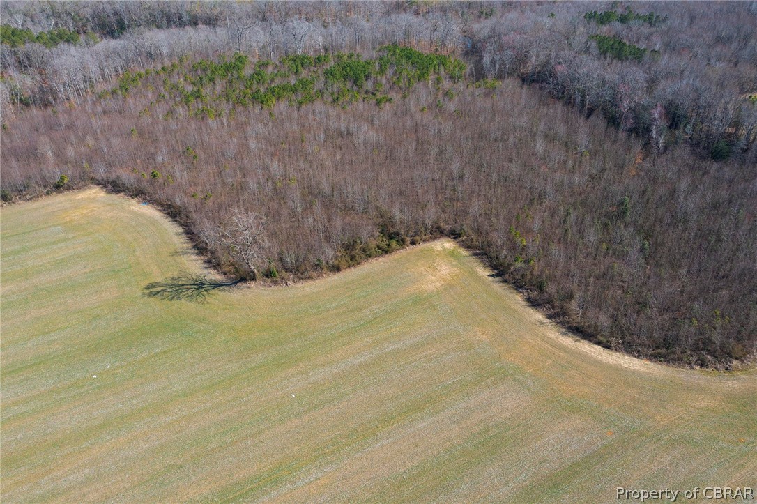 0 Devils Three Jump Road Little Plymouth, VA 23091 - Photo 4 of 6