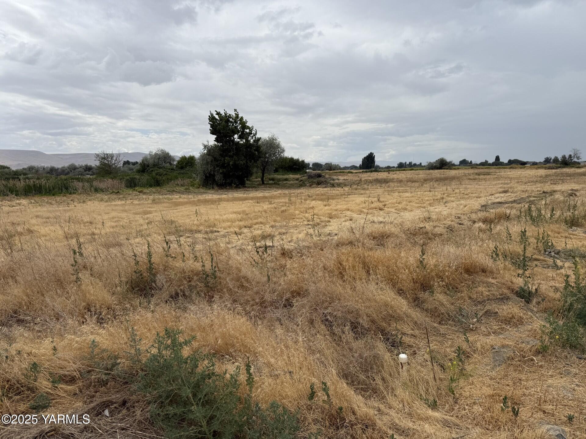 Tbd North Patricia Road Prosser, WA 99350 - Photo 3 of 4