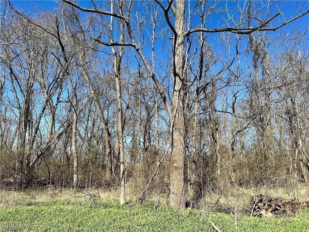 0 Fisher Ridge Road Fleming, OH 45729 - Photo 4 of 8 View from road