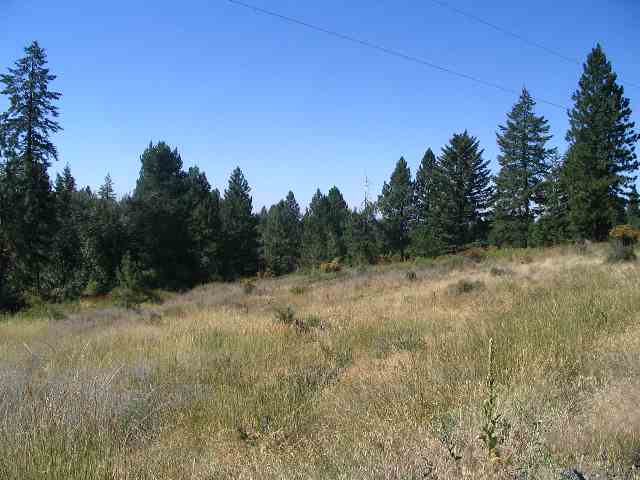 0 North Conklin Road Chattaroy, WA 99003 - Photo 2 of 7